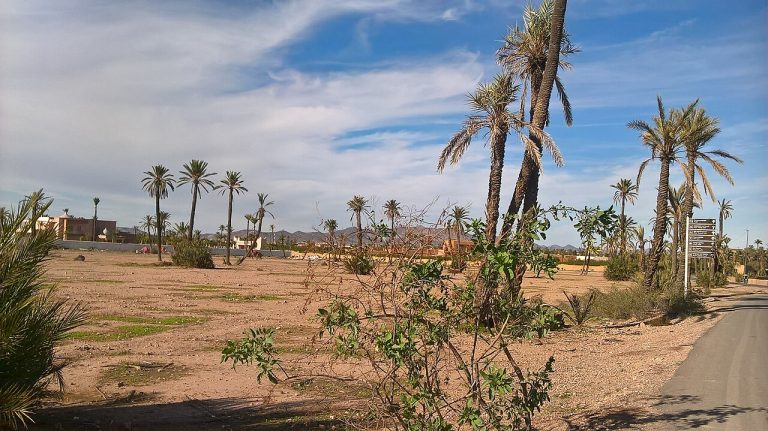 Le tourisme au Maroc, moteur de l&rsquo;économie