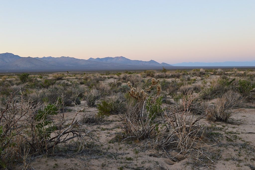 tourisme durable — California Desert Landscape 01