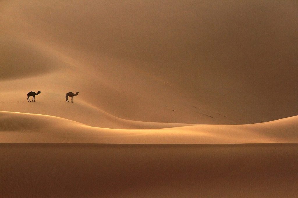 Tourisme Maroc — Désert marocain , dunes de Chegaga