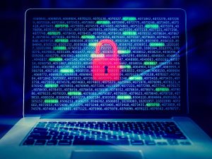 Faille de sécurité dans WordPress : les cartes bancaires en danger