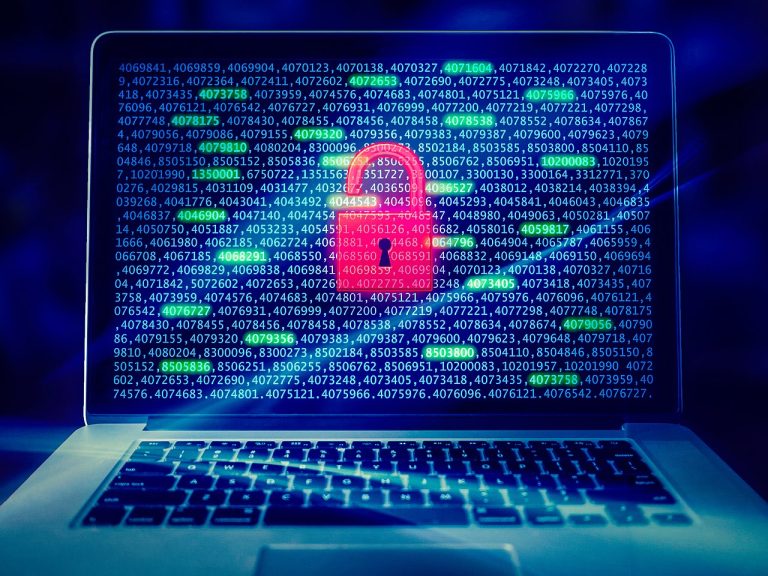Faille de sécurité dans WordPress : les cartes bancaires en danger